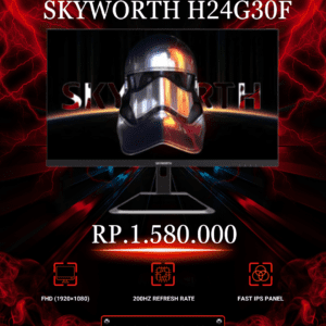 SKYWORTH H24G30F